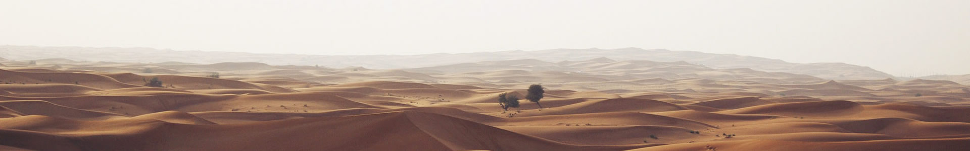 Ľ豸ݣ޹˾